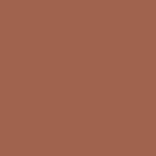 Burnt Sienna 1196